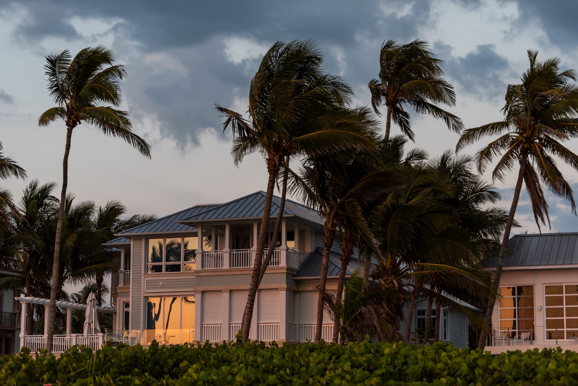 Florida home and trees in heavy storm wind, dramatic purple sky