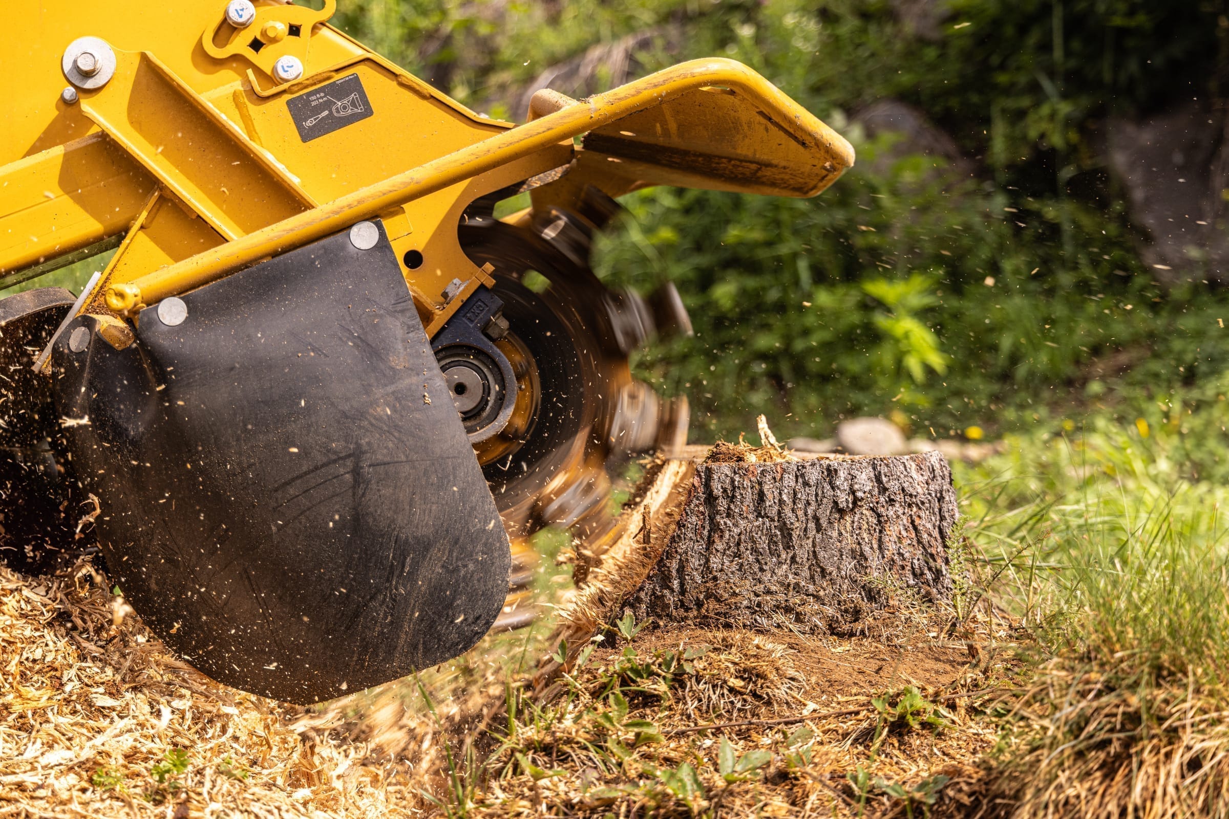 Stump grinder working below grade